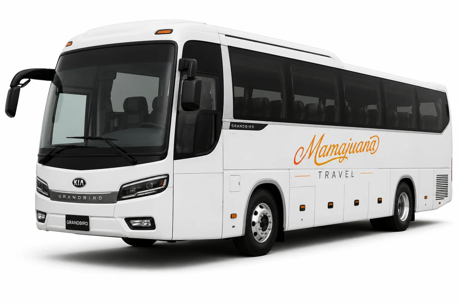 Bus (Hyundai Grand Bird, Mercedes Sprinter de batalla larga o similar) — 23-45 pasajeros, 45 maletas grandes · traslado privado de Santo Domingo a Samaná en República Dominicana