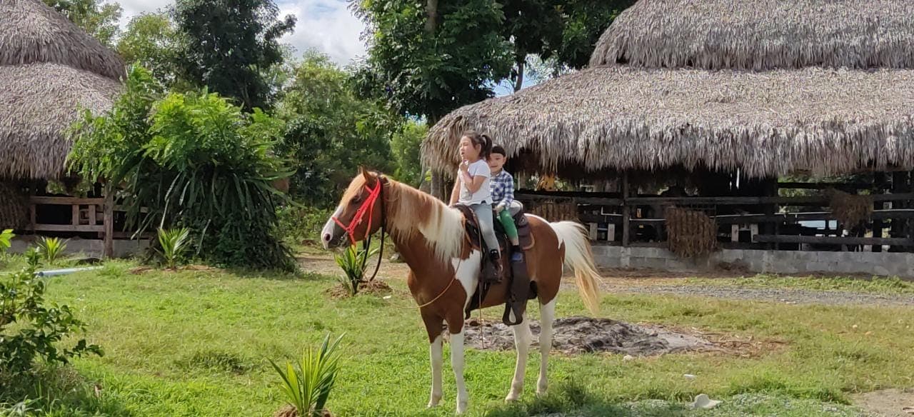 Horseback Riding tour near Santo Domingo with pick up and dropoff