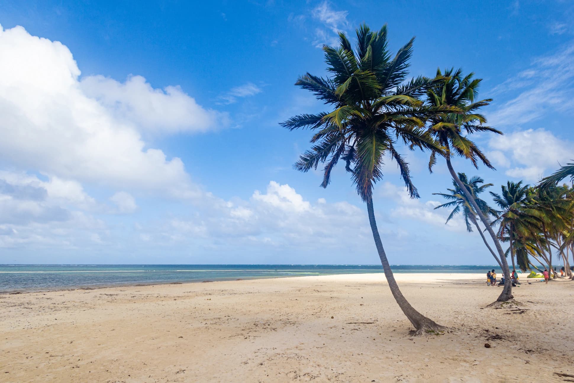Las mejores excursiones de un día en la República Dominicana desde Santo Domingo (Guía 2025)
