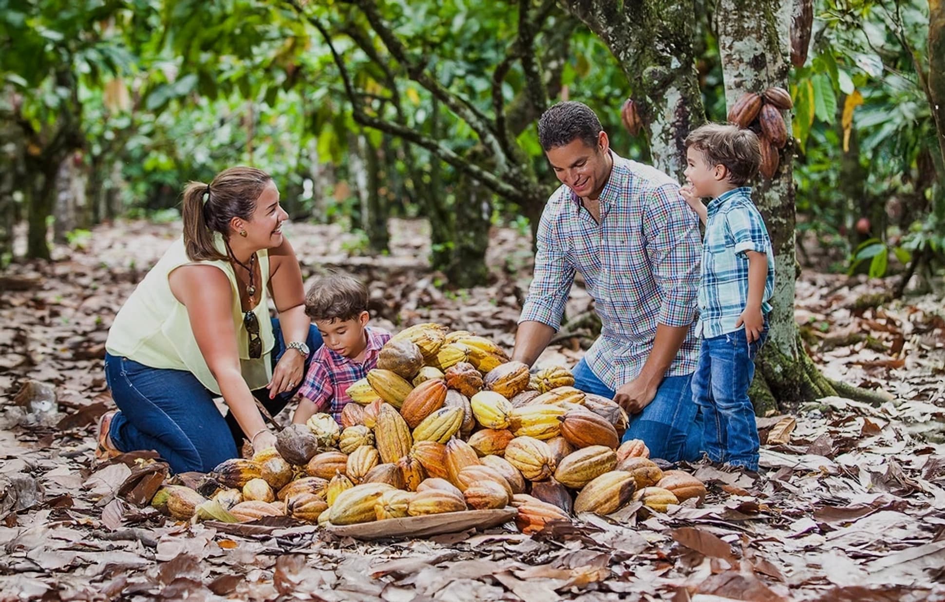 Family with children exploring cocoa pods at El Sendero del Cacao plantation during the Chocolate Tour Santo Domingo