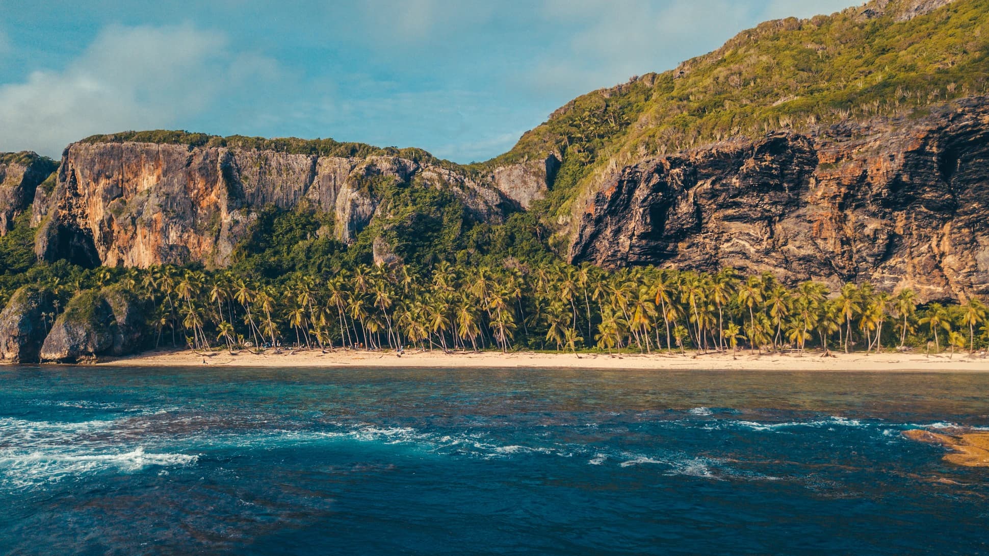 Playa Frontón beach lined with palm trees and cliffs in Samaná, Dominican Republic.