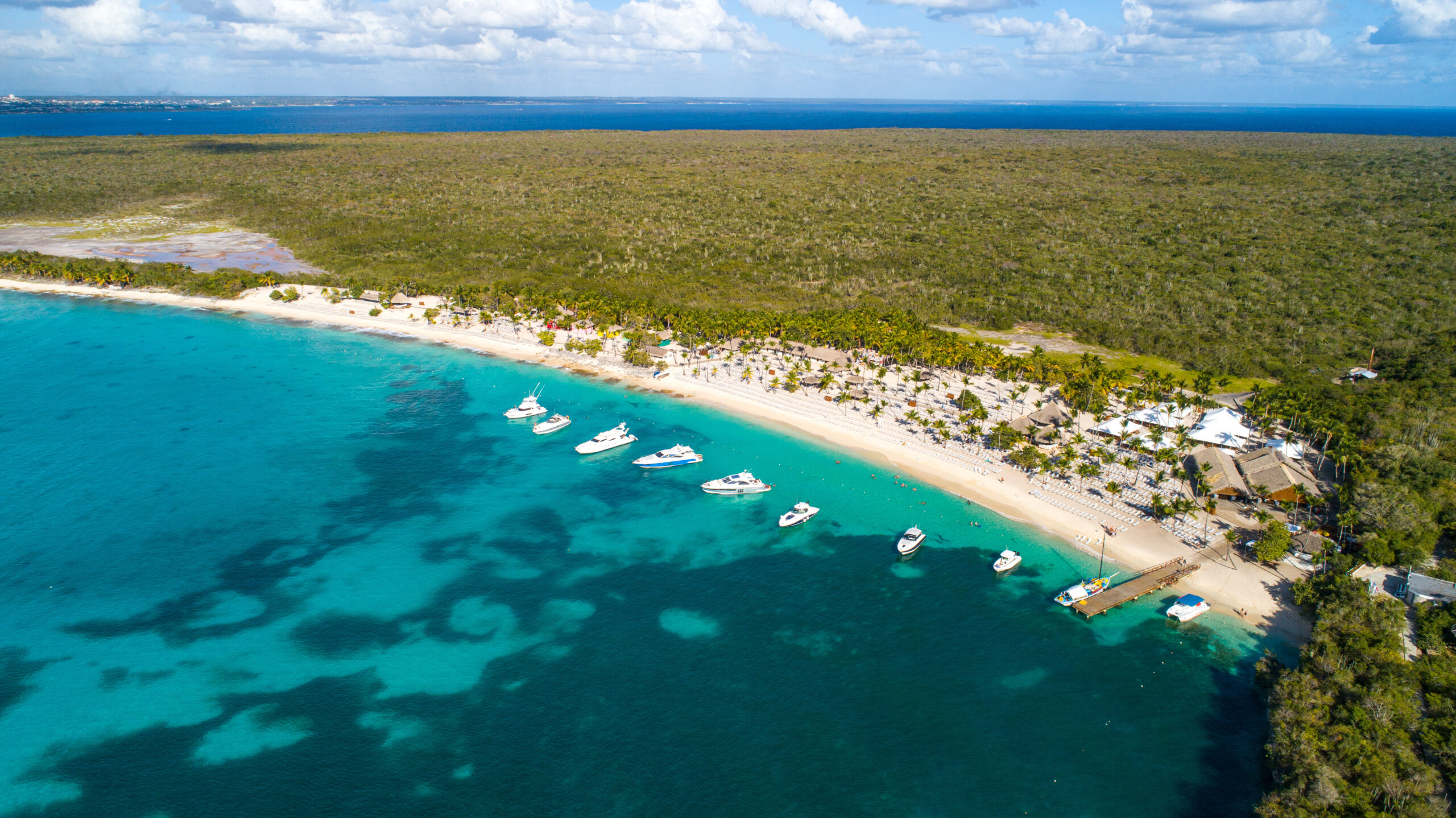 Drone view of Catalina Island with turquoise waters, boats, and palm-fringed beach