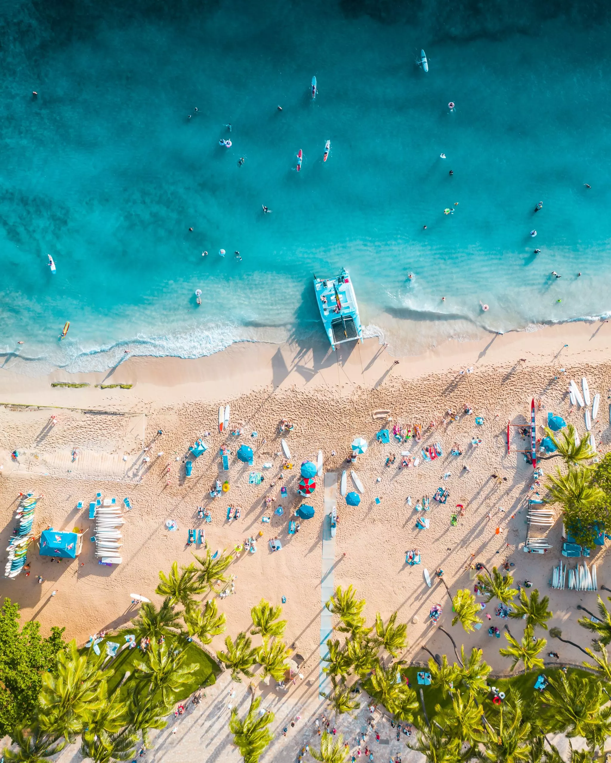 Catamaran, punta cana, beach