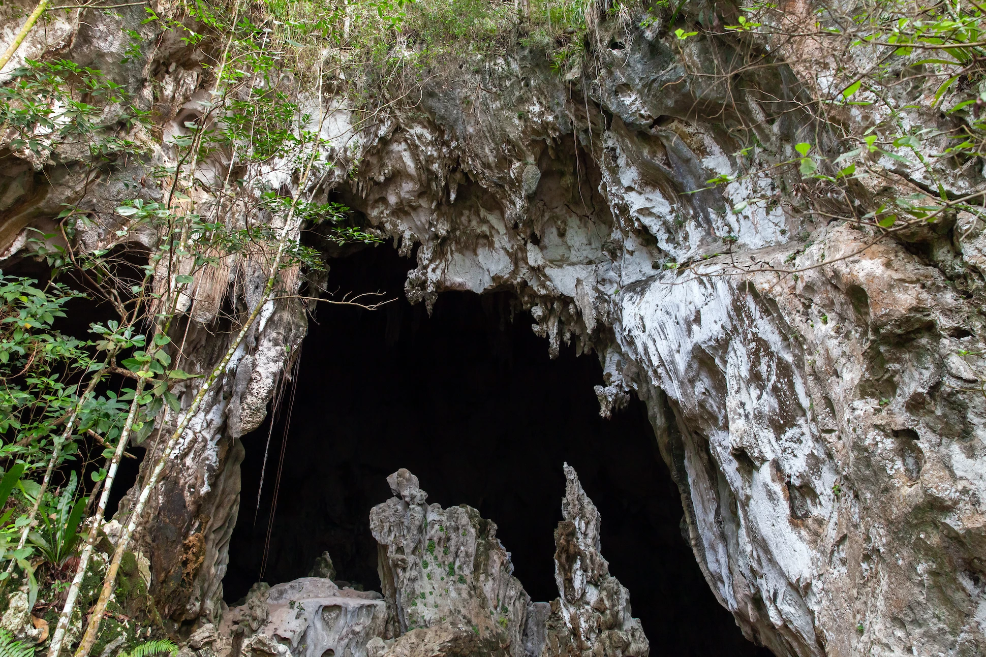Large cave entrance with limestone formations in Los Haitises National Park