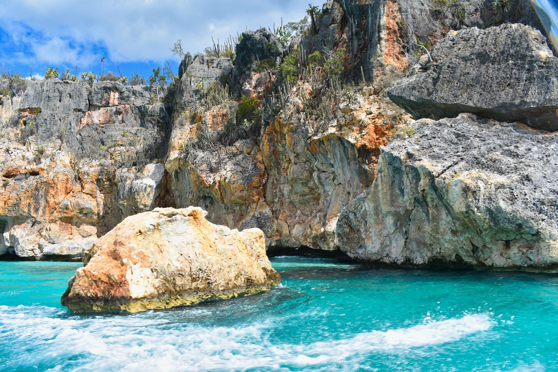 Steep cliffs with cactus vegetation and rocky shoreline at Bahía de las Águilas, Pedernales, Dominican Republic.