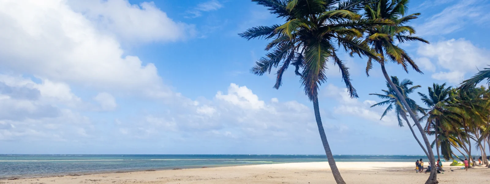 Cabeza de Toro Beach in Punta Cana with white sand and palm trees by the Caribbean Sea