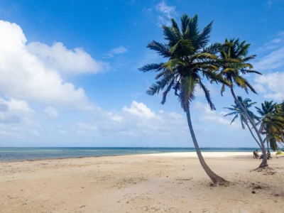 Cabeza de Toro Beach in Punta Cana with white sand and palm trees by the Caribbean Sea