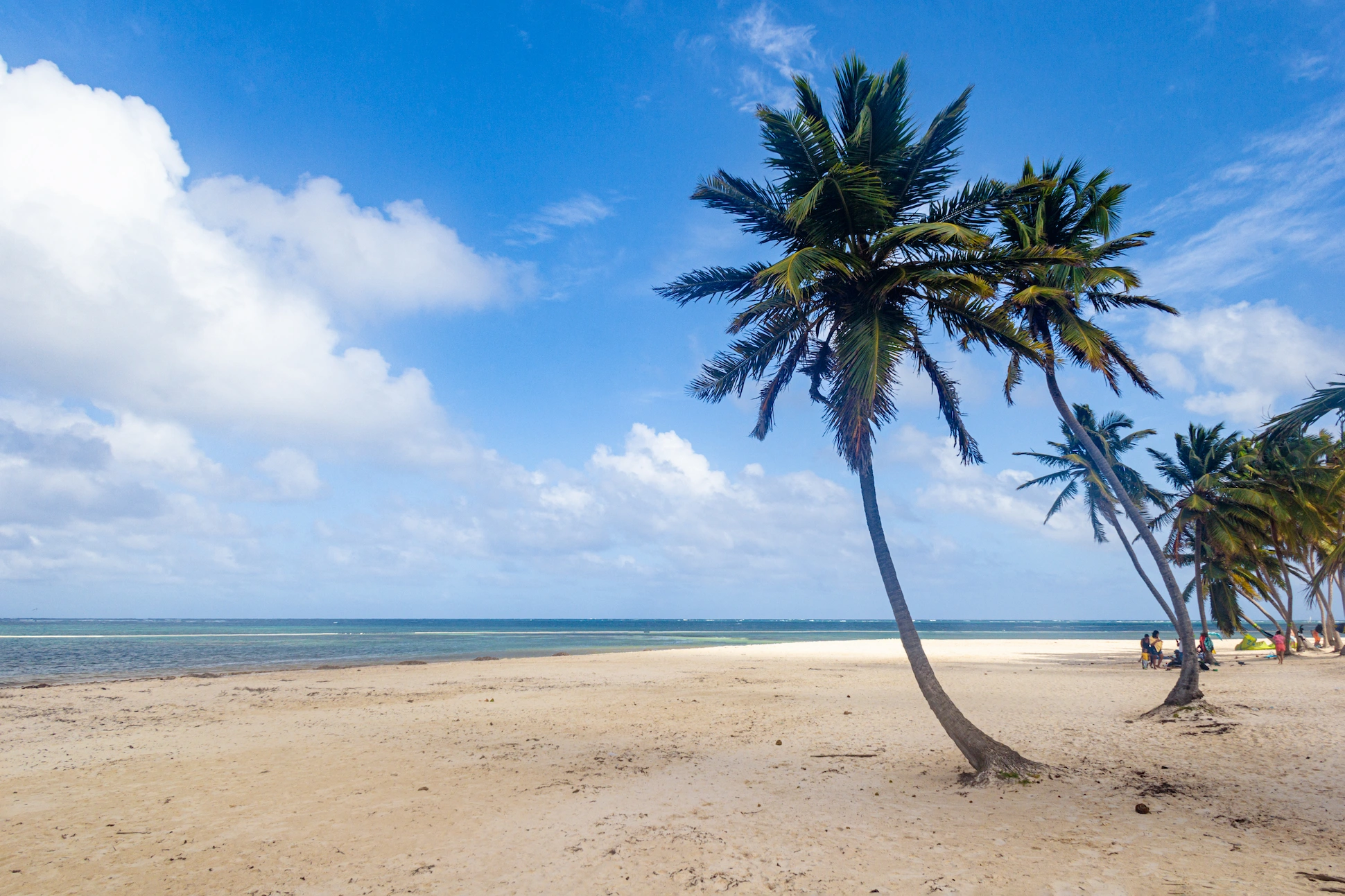 Cabeza de Toro Beach in Punta Cana with white sand and palm trees by the Caribbean Sea