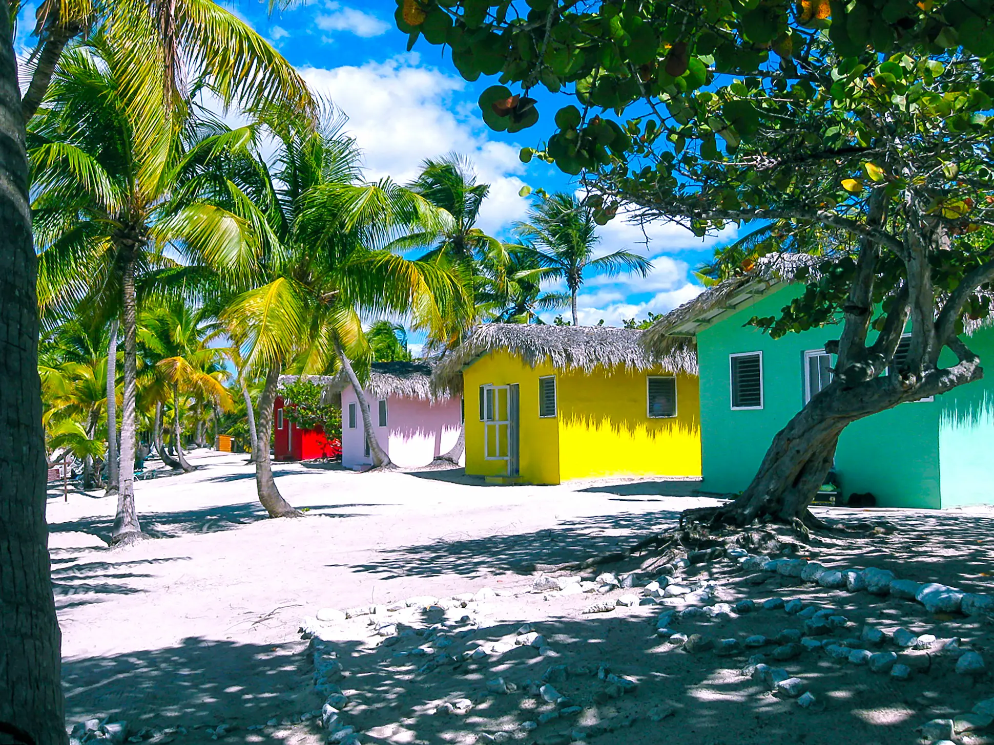 Brightly painted beach houses among palm trees at Catalina Island