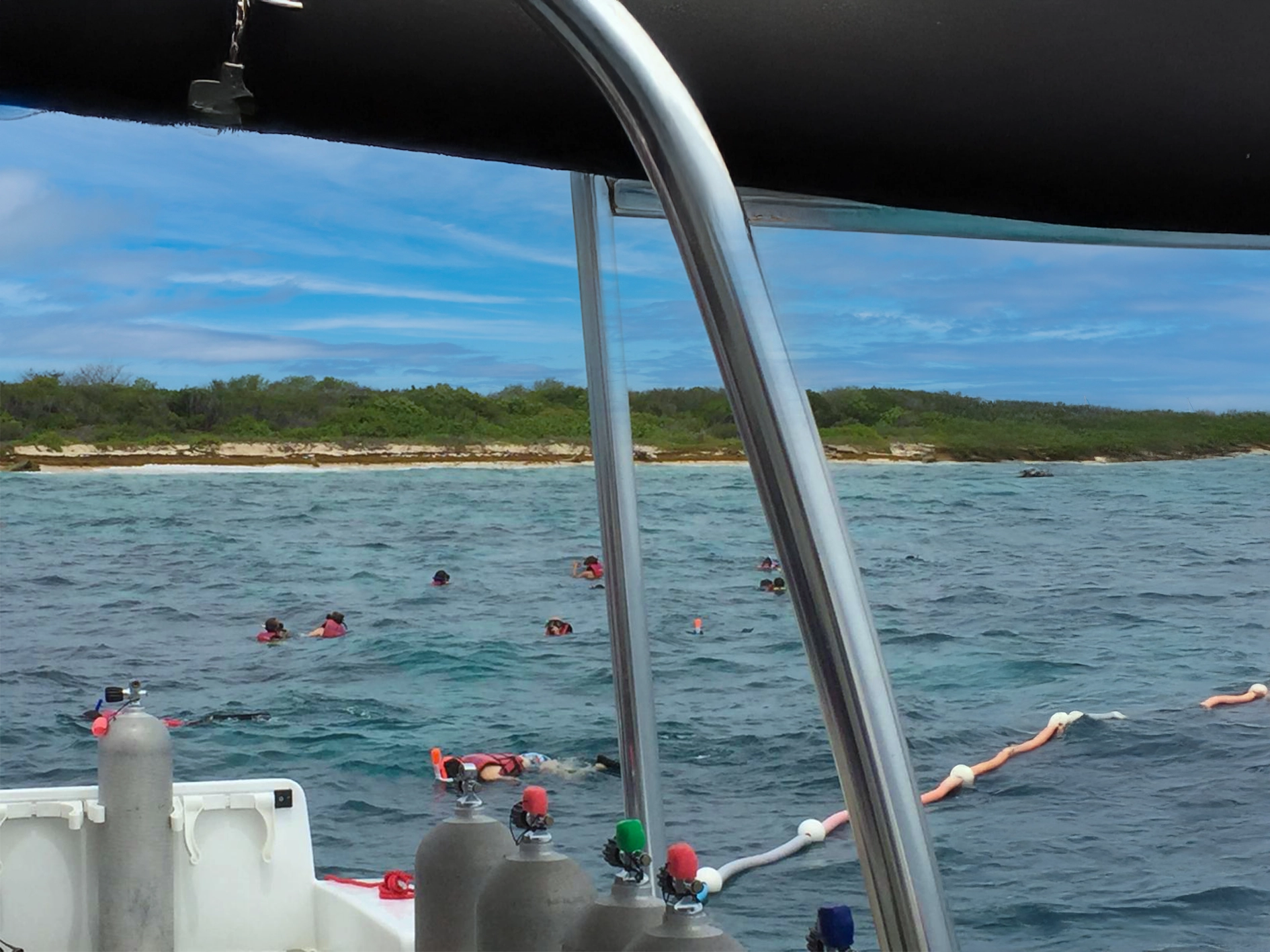 Travelers snorkeling from a boat near Catalina Island with safety gear