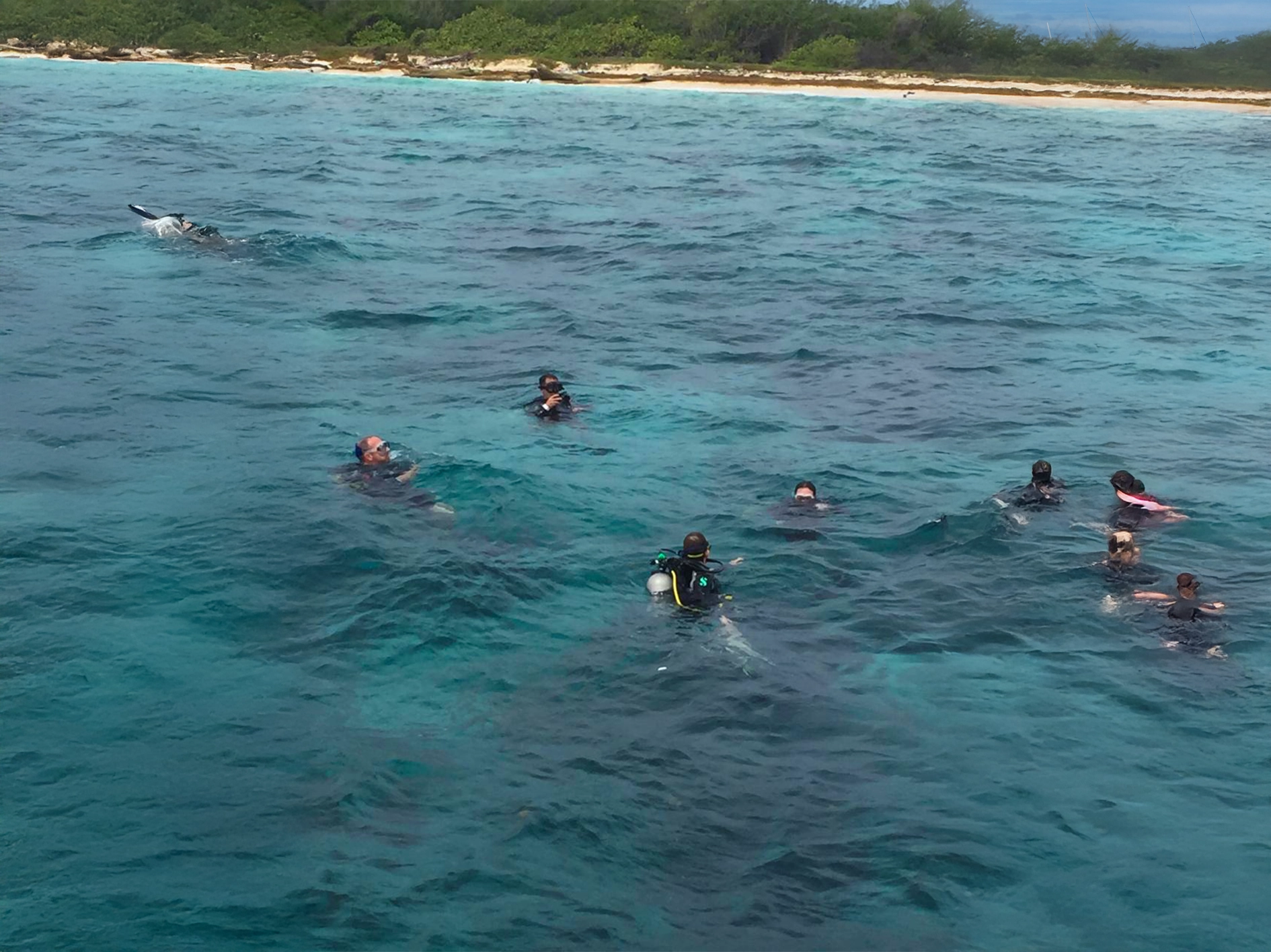 Travelers snorkeling in clear turquoise waters near Catalina Island, Dominican Republic