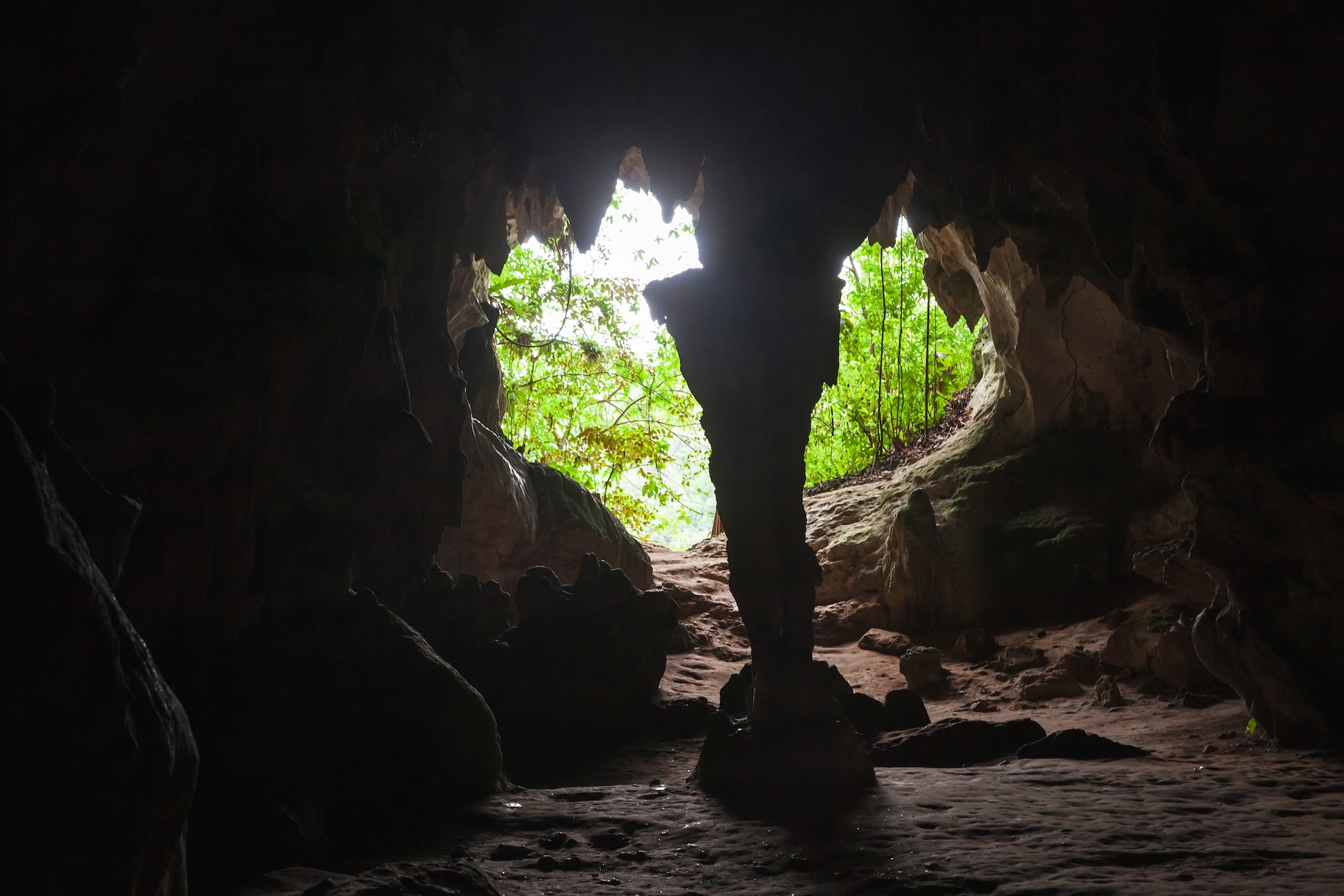 Interior view of a cave with natural rock formations and sunlight shining through the entrance in Los Haitises, Dominican Republic.