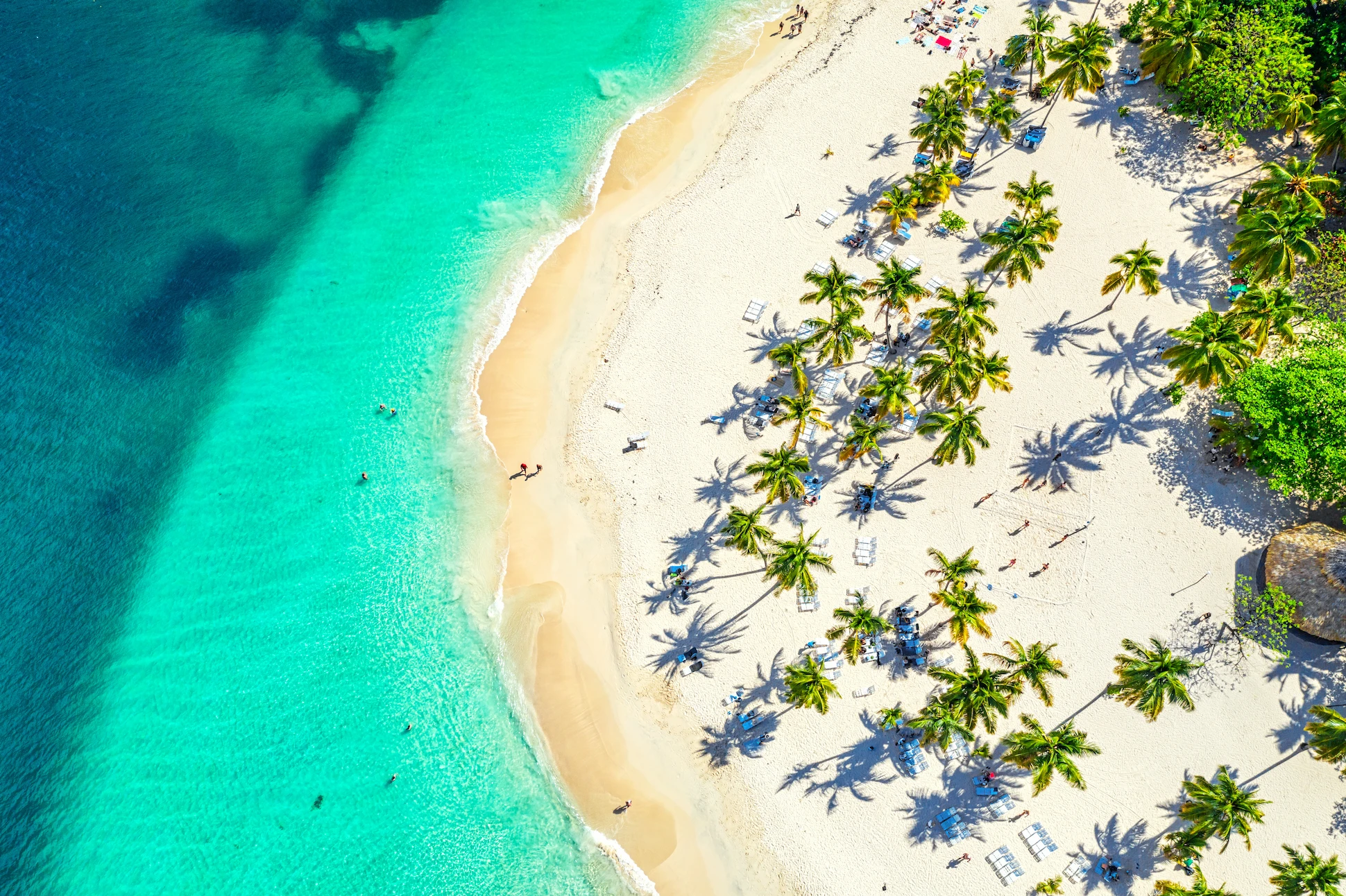White sandy beach lined with palm trees and turquoise waters at Cayo Levantado