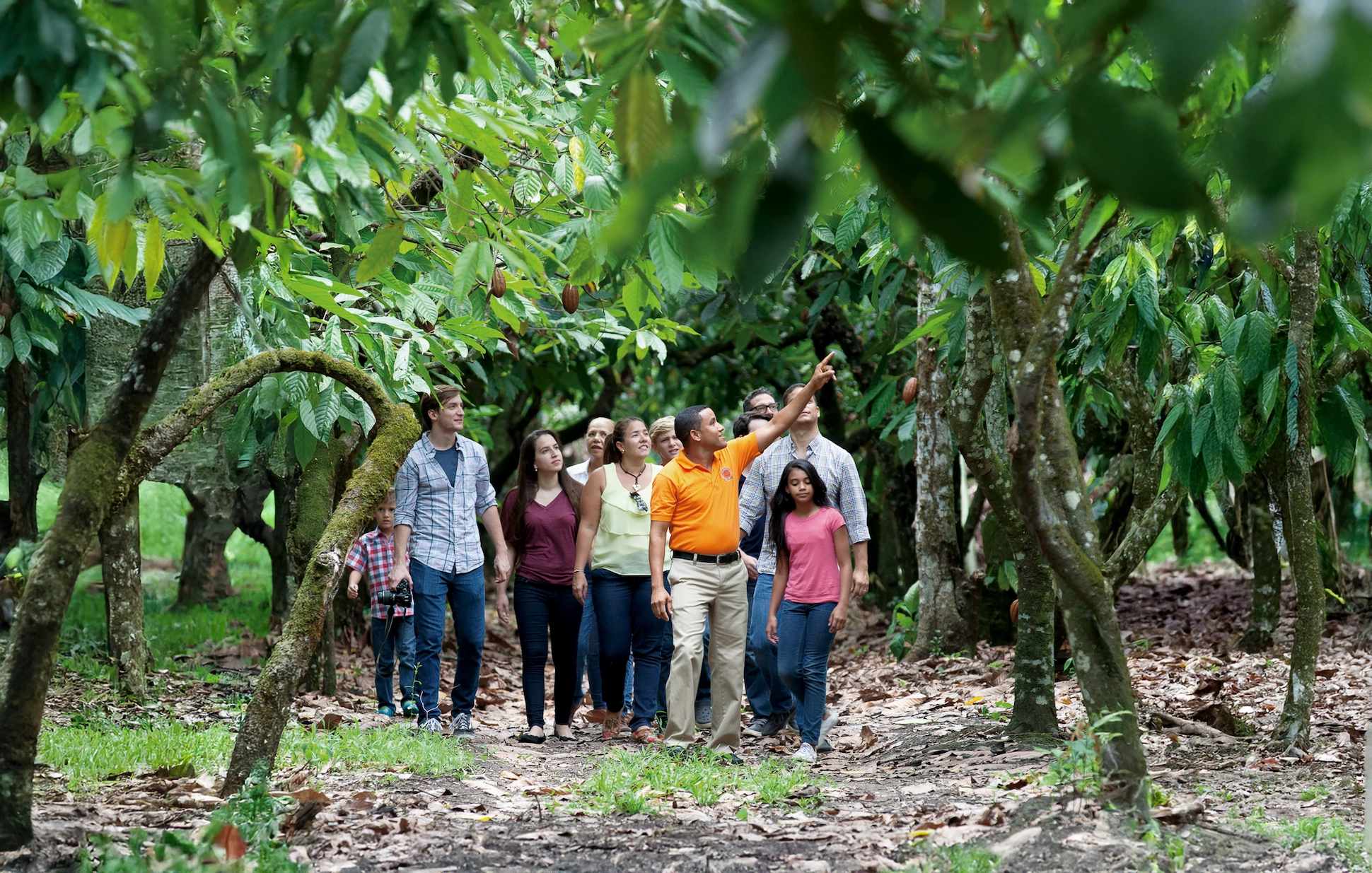 Tour guide leading a group through the cocoa plantation at El Sendero del Cacao during the Chocolate Tour Santo Domingo