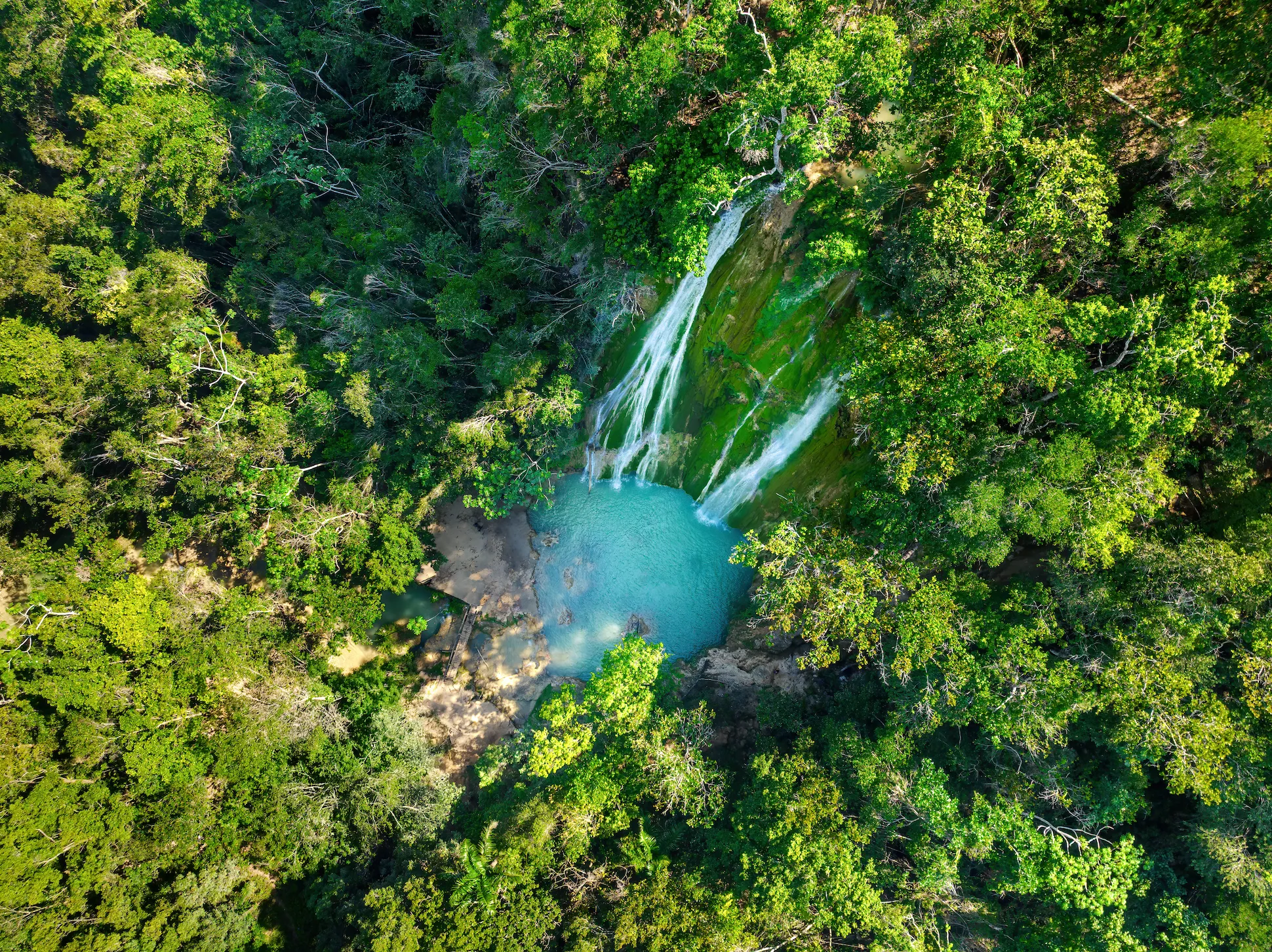 Drone aerial view of El Limón Waterfall surrounded by dense rainforest in Samaná.