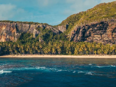 Playa Frontón beach lined with palm trees and cliffs in Samaná, Dominican Republic.