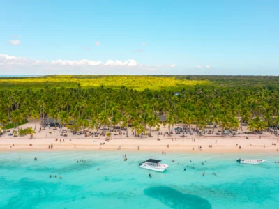 Aerial view of Isla Saona beach lined with palm trees and turquoise Caribbean waters in the Dominican Republic