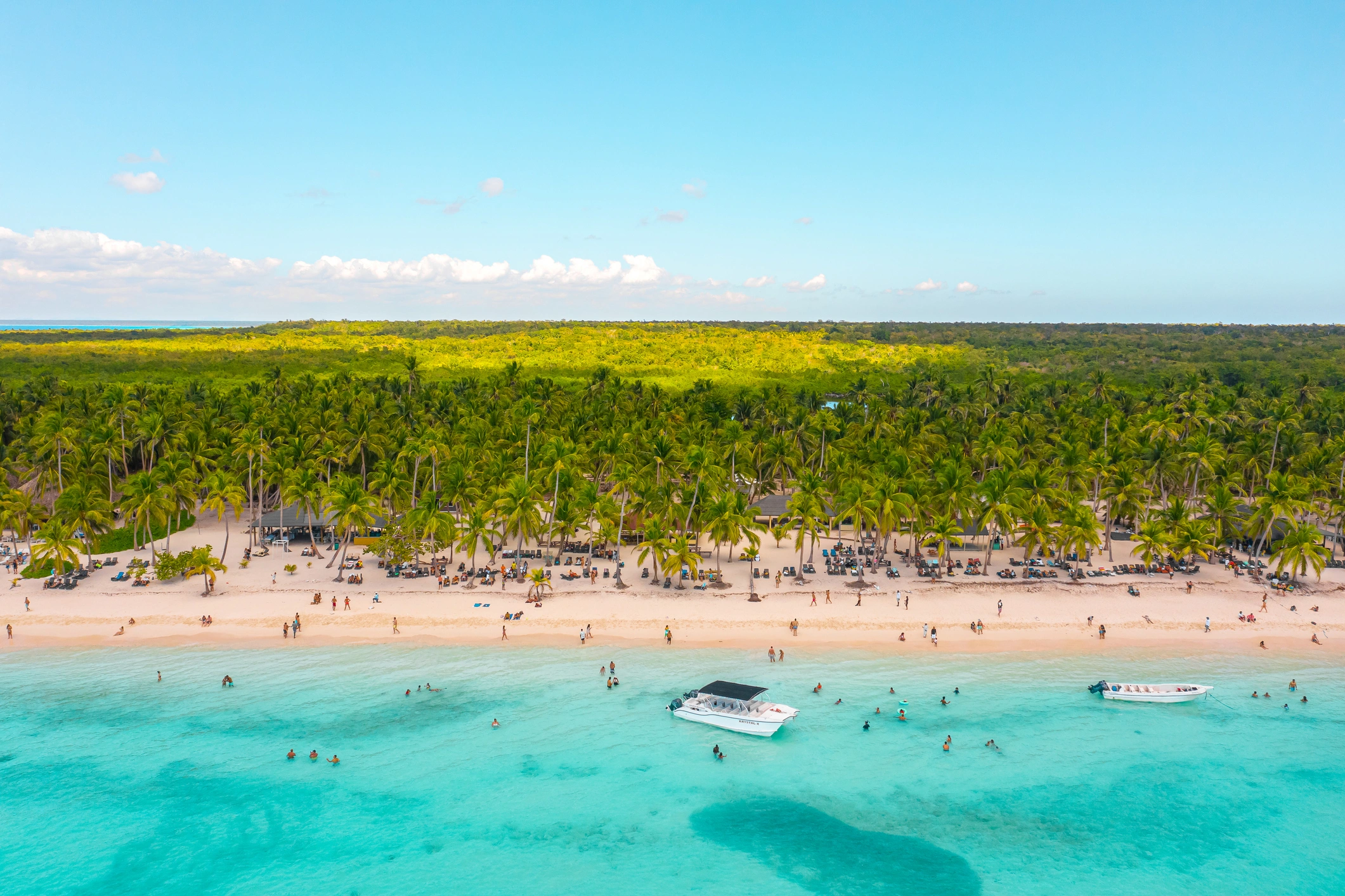 Aerial view of Isla Saona beach lined with palm trees and turquoise Caribbean waters in the Dominican Republic