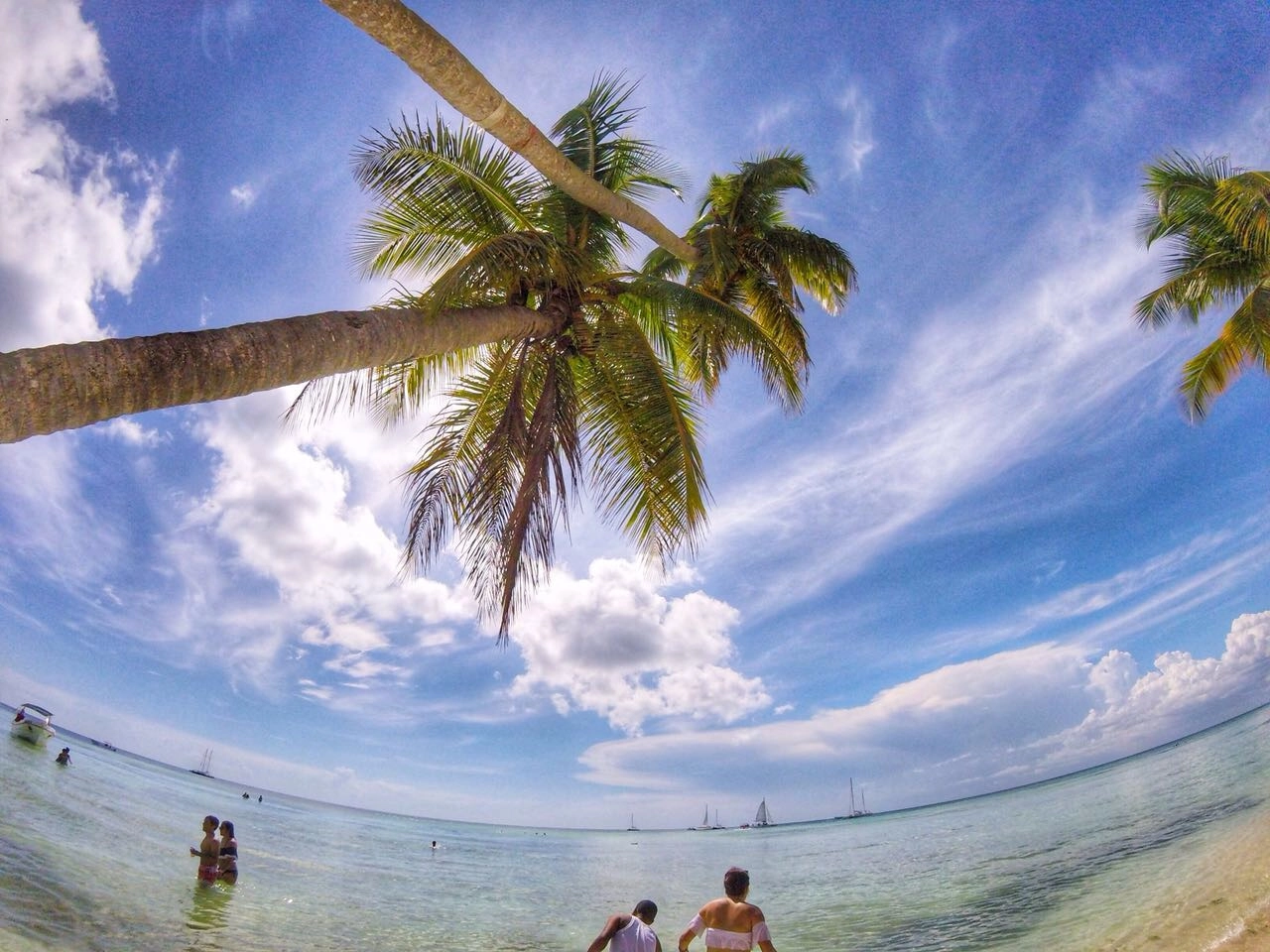 Palm trees framing the beach and sea at Isla Saona.