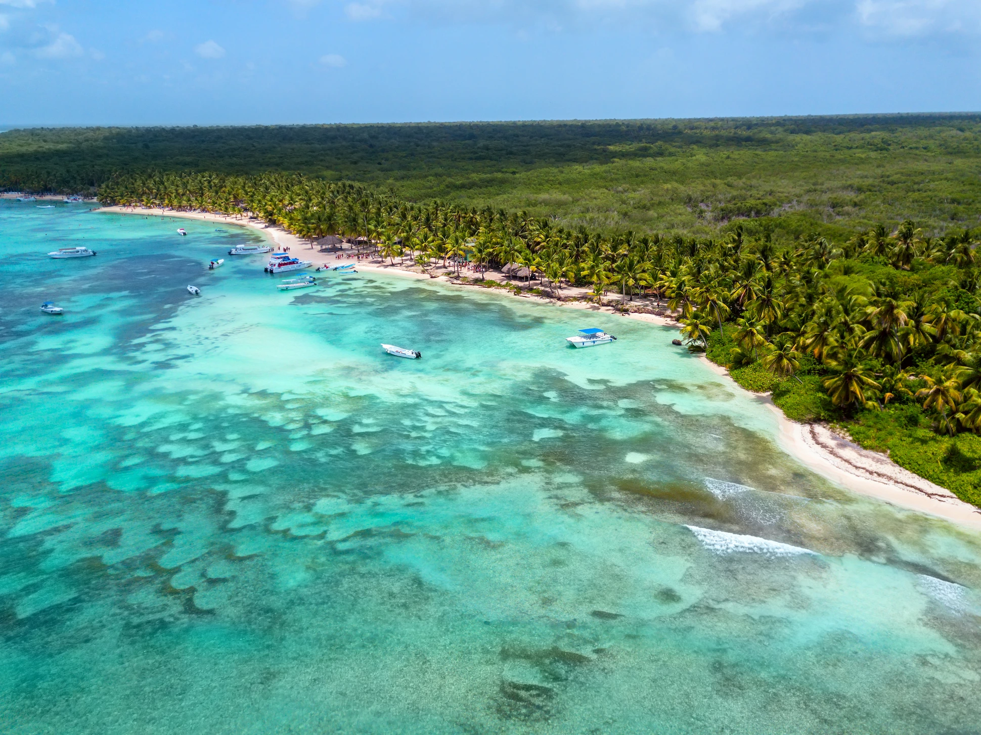 Aerial view of Isla Saona with turquoise Caribbean waters and palm trees