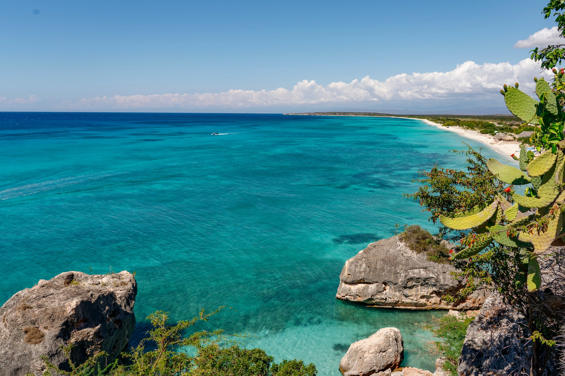 Scenic view of Bahía de las Águilas from a cliff at Jaragua National Park, showing turquoise waters, coastline, and cactus plants in Pedernales.