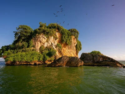 Small karst rock island covered with vegetation and birds in Los Haitises