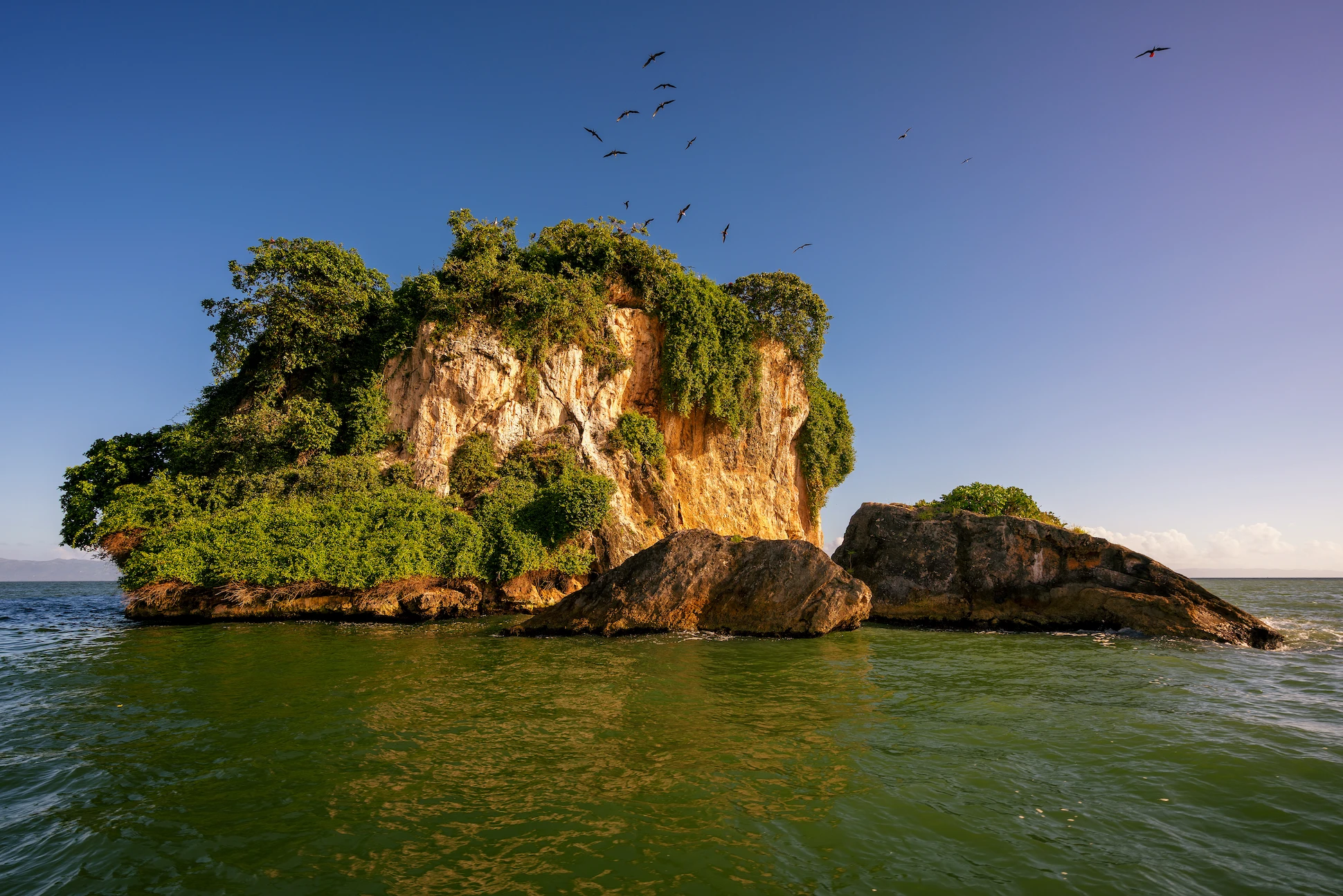 Small karst rock island covered with vegetation and birds in Los Haitises