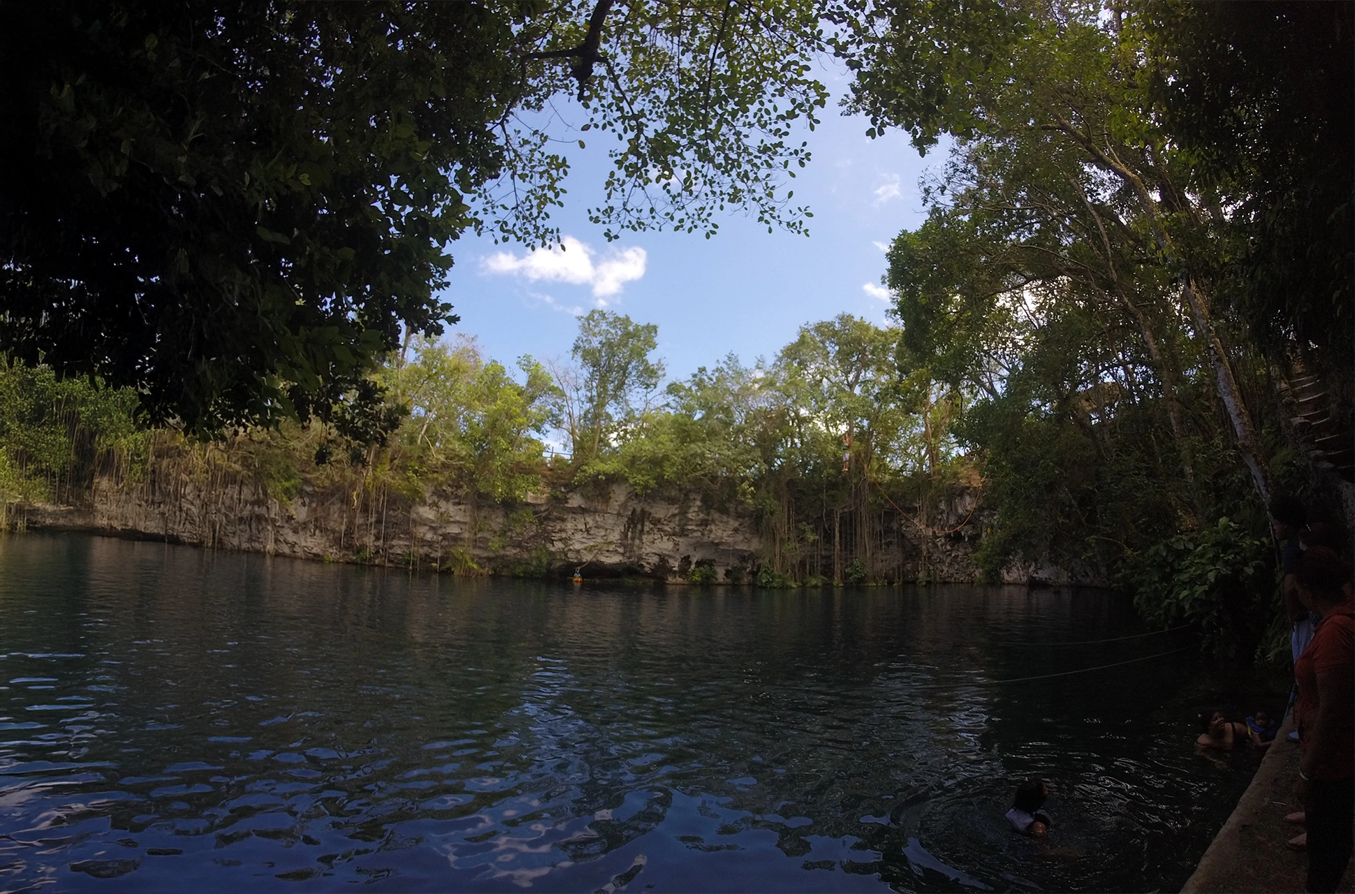 View of turquoise cenote at Laguna Dudú surrounded by forest
