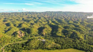 Drone view of rolling green hills and limestone formations in Los Haitises National Park