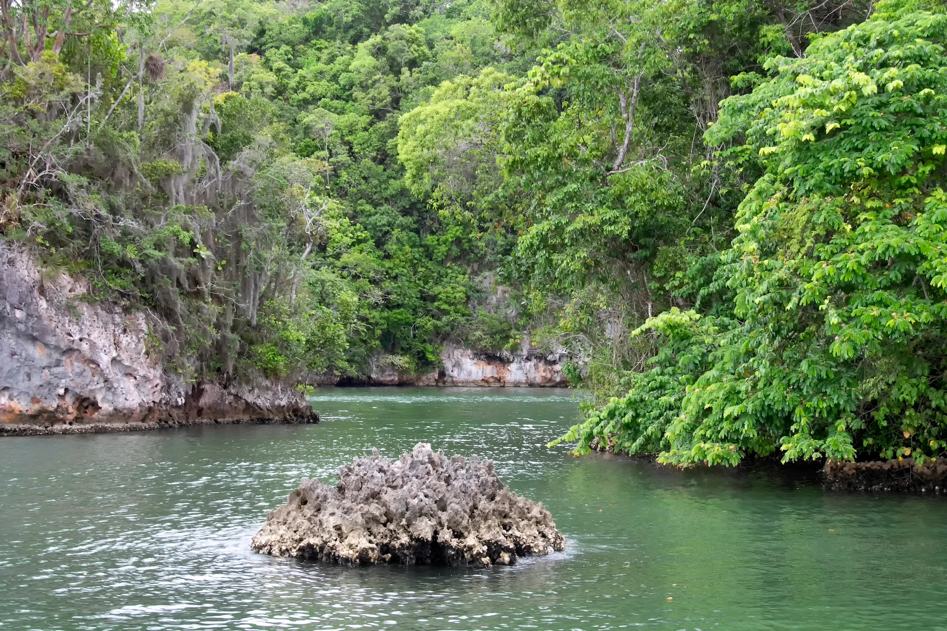 River winding through dense jungle foliage in Los Haitises National Park