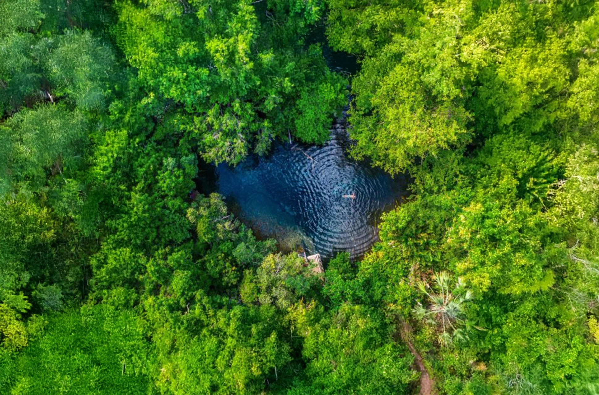 Aerial view of Ojos Indígenas Ecological Reserve in Punta Cana with lagoon surrounded by tropical forest