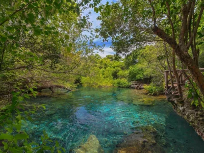 Crystal-clear lagoon in Ojos Indígenas Ecological Reserve in Punta Cana surrounded by tropical vegetation