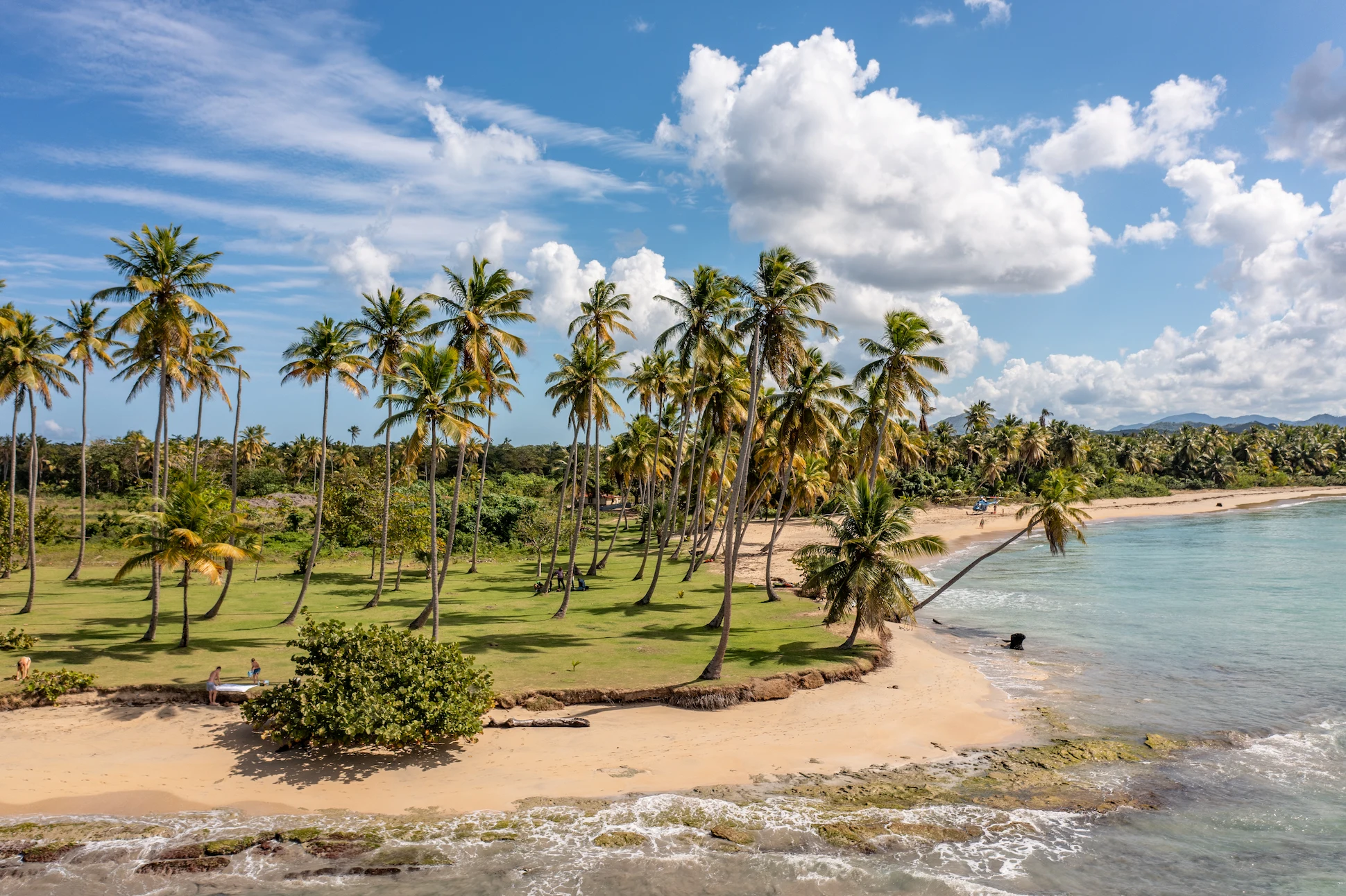 Palm trees along the coastline of Playa Esmeralda with sandy beach and calm waters.