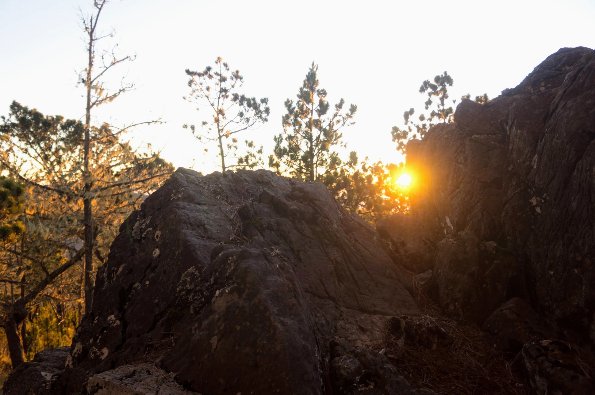 Sunrise seen through rocks and pine trees along the Pico Duarte hiking trail.