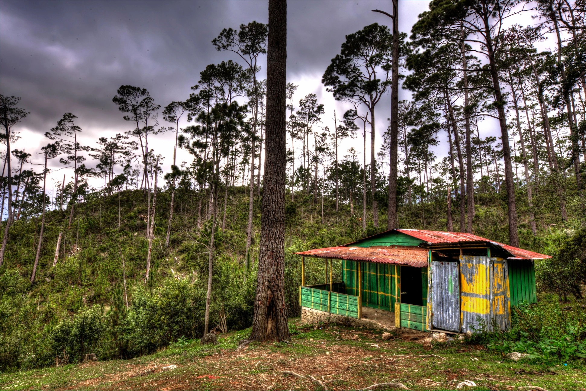 Rustic hut surrounded by pine forest on Pico Duarte hiking trail in Dominican Republic.