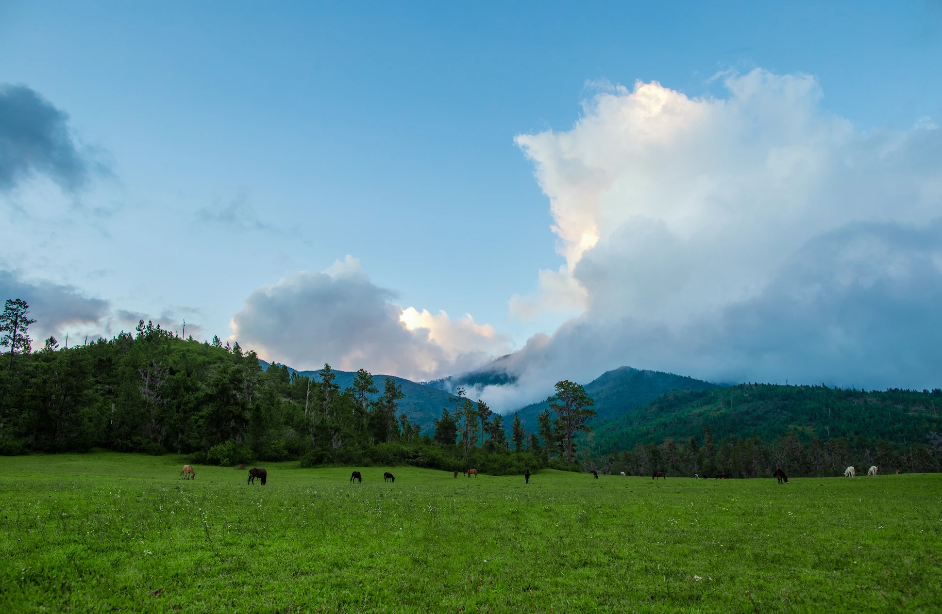 Green valley with horses grazing at Pico Duarte, surrounded by lush mountains and clouds.