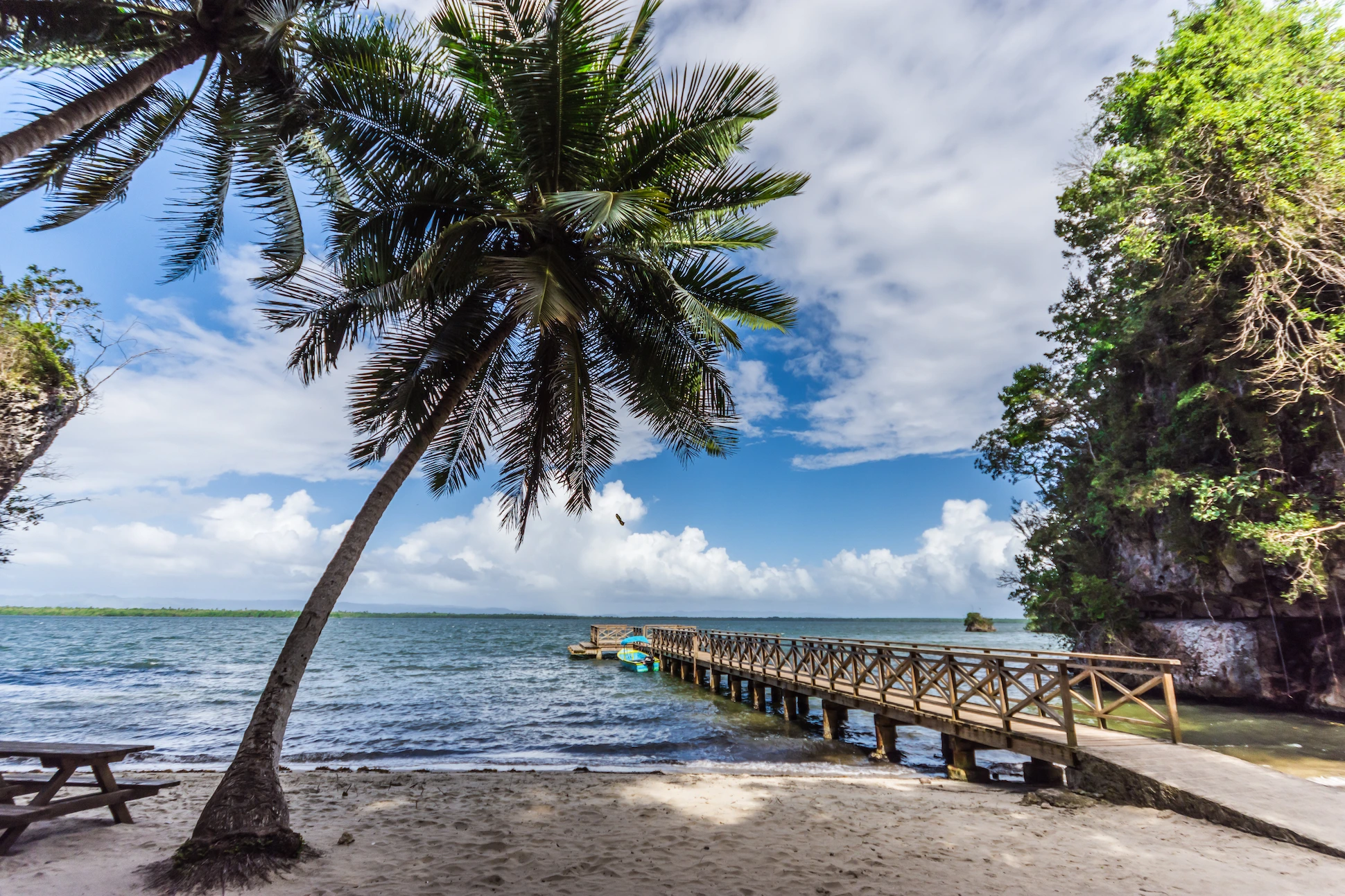 Palm trees and wooden pier at a hidden beach in Los Haitises National Park