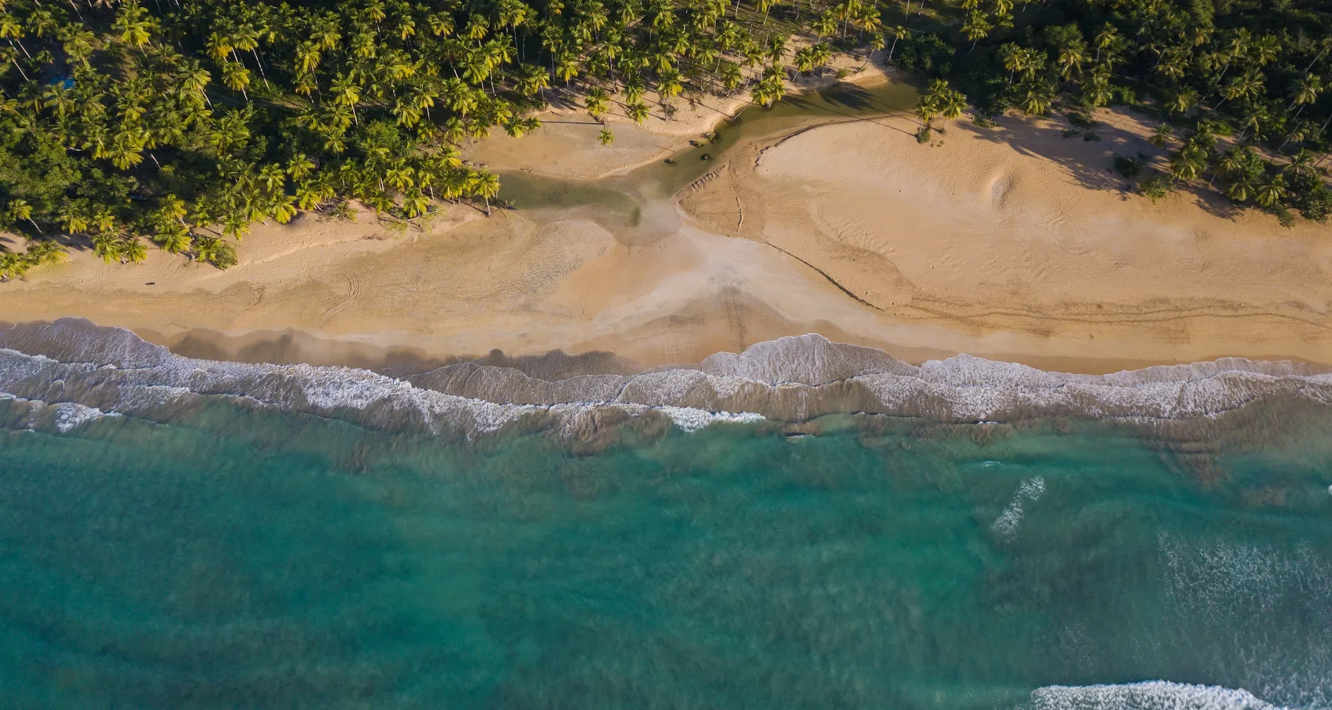 Aerial view of Playa Rincon in Samana, Dominican Republic with turquoise waters and pristine sandy beach