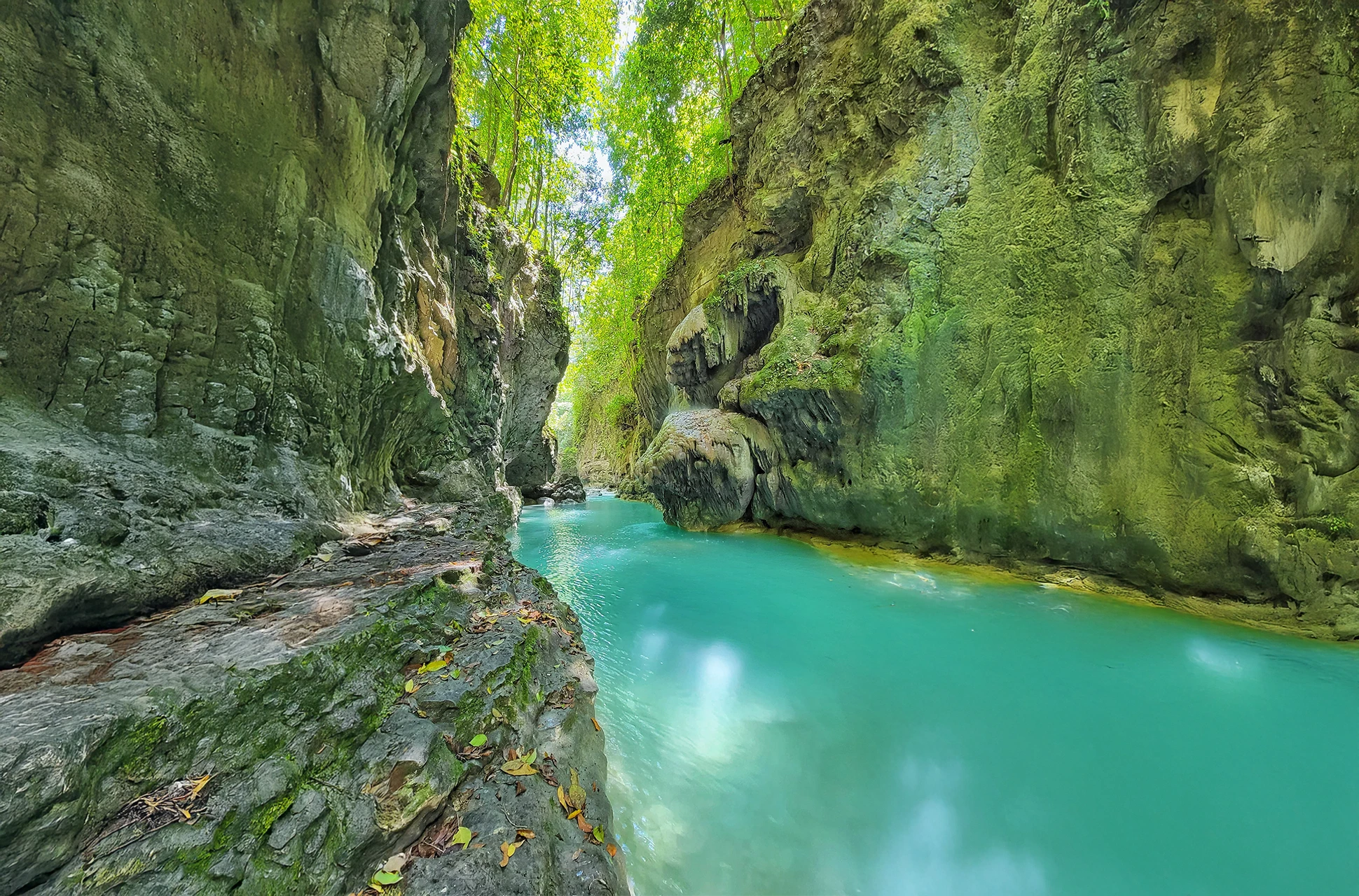 Narrow canyon with turquoise waters and jungle at Río Partido in the Dominican Republic