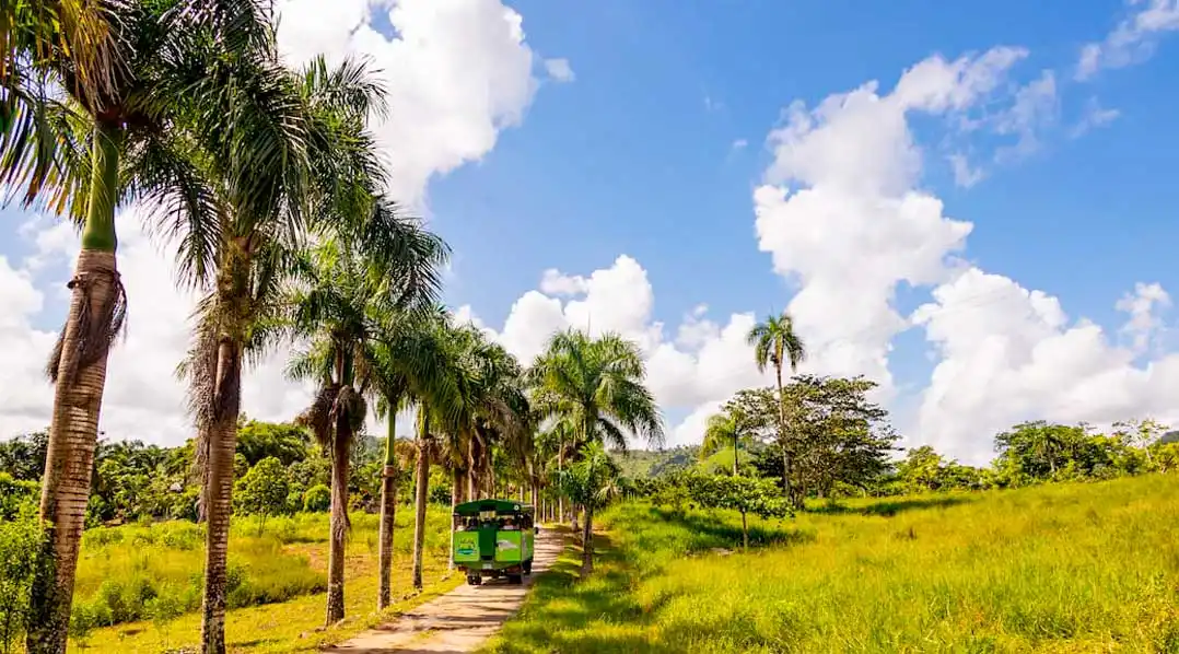 Safari-style truck driving along a palm tree road in the Dominican countryside under blue skies.