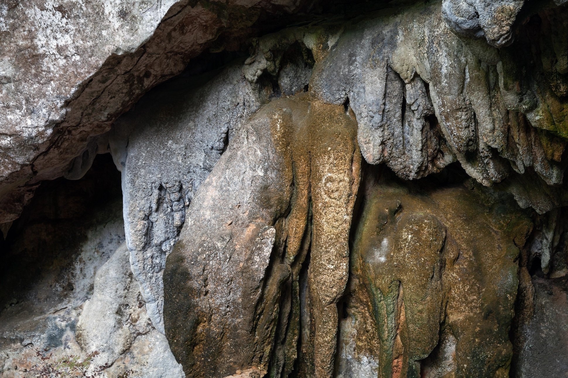 Close-up of Taíno petroglyphs carved into a limestone cave wall at Los Haitises National Park, Dominican Republic.