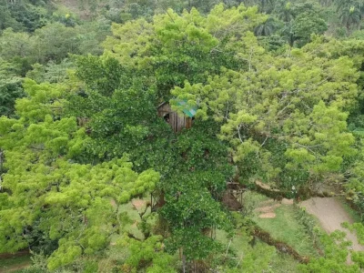 Tarzan Treehouse in Yanigua, Hato Mayor, Dominican Republic – 35-meter wooden structure