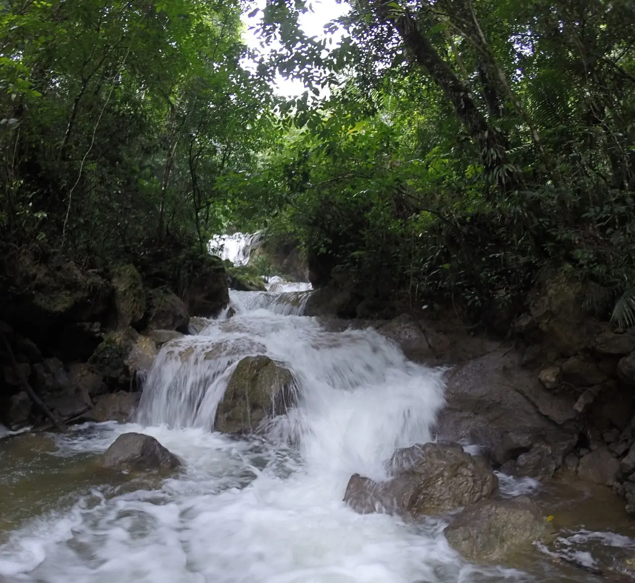 Stream and cascades of Salto de Yanigua waterfall surrounded by lush tropical forest in Hato Mayor, Dominican Republic