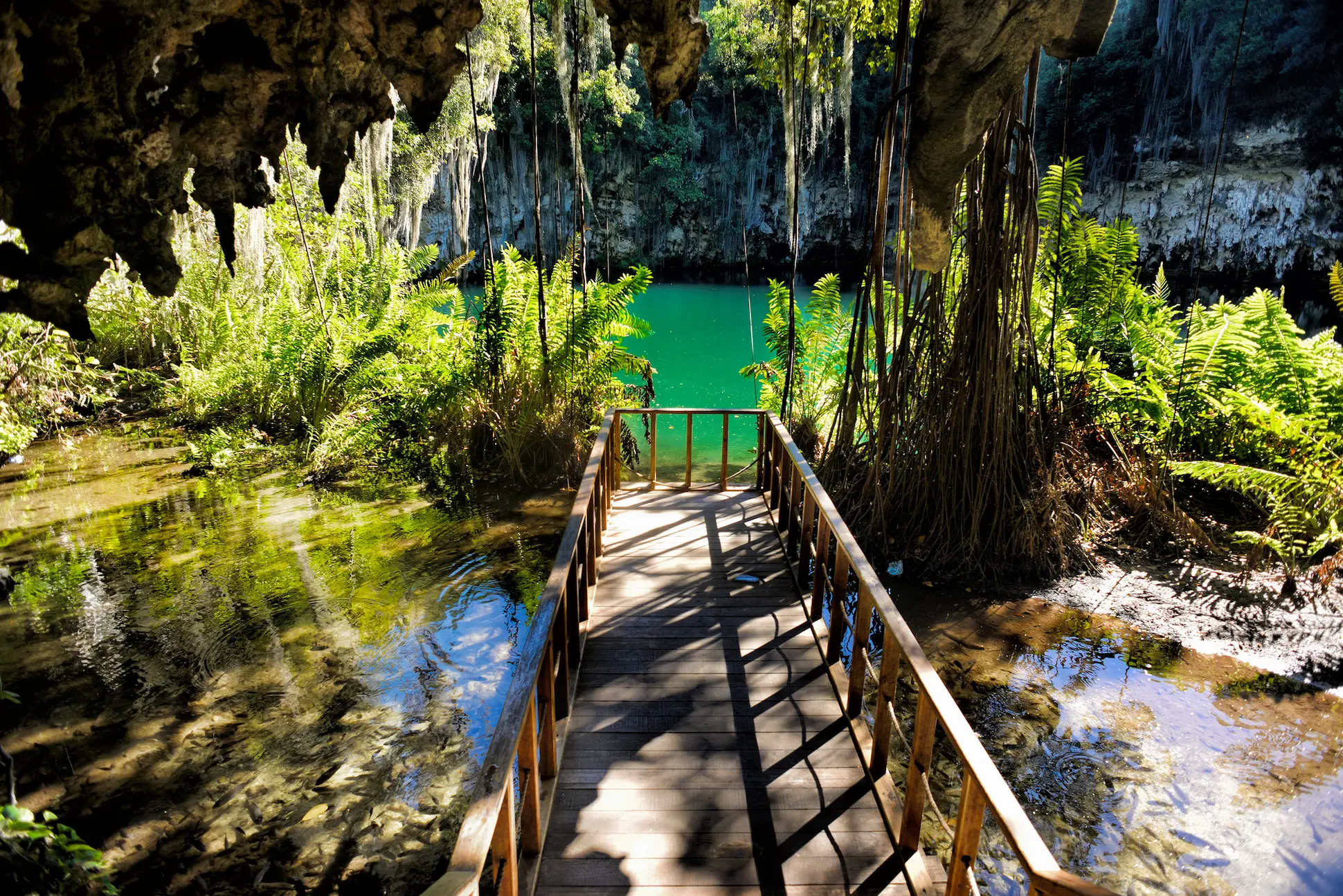 Scenic view of Zaramagullones lake at Los Tres Ojos in Santo Domingo, surrounded by lush tropical vegetation.